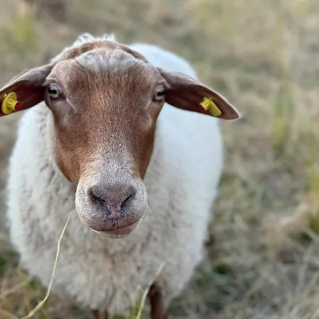 Whg 18 Apartamento Cappel-Neufeld